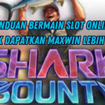 TRIK CEPAT CUAN DI SHARK BOUNTY TANPA MODAL BESAR